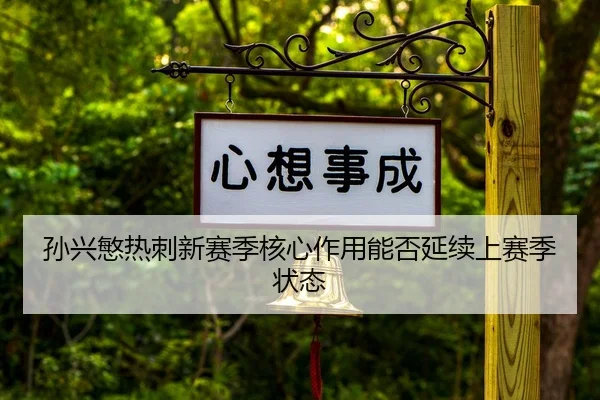sun-xing-min-re-ci-xin-sai-ji-he-xin-zuo-yong-neng-fou-yan-xu-shang-sai-ji-zhuang-tai-1-656.jpg